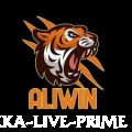999kka Live Prime